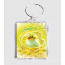 Custom Key Ring, Acrylic Key Chain (GZHY-KC-009)